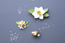 Load image into Gallery viewer, SPRING &#39;23 || Daffodil Blossom
