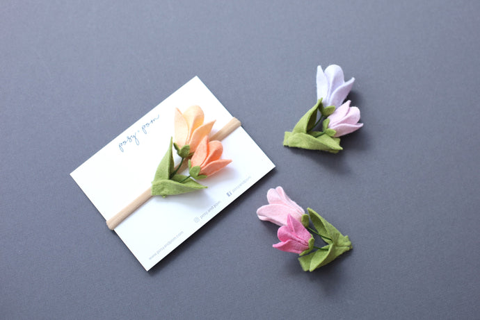 SPRING '23 || Tulip Blooms