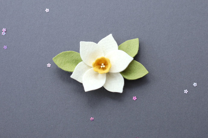 SPRING '23 || Daffodil Blossom