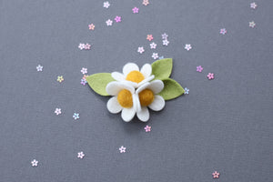 SPRING '23 || Daisy Trio
