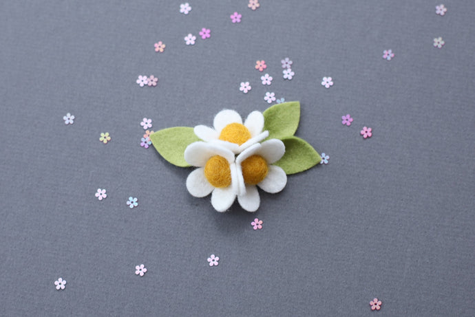 SPRING '23 || Daisy Trio
